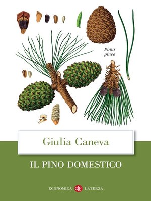 cover image of Il pino domestico